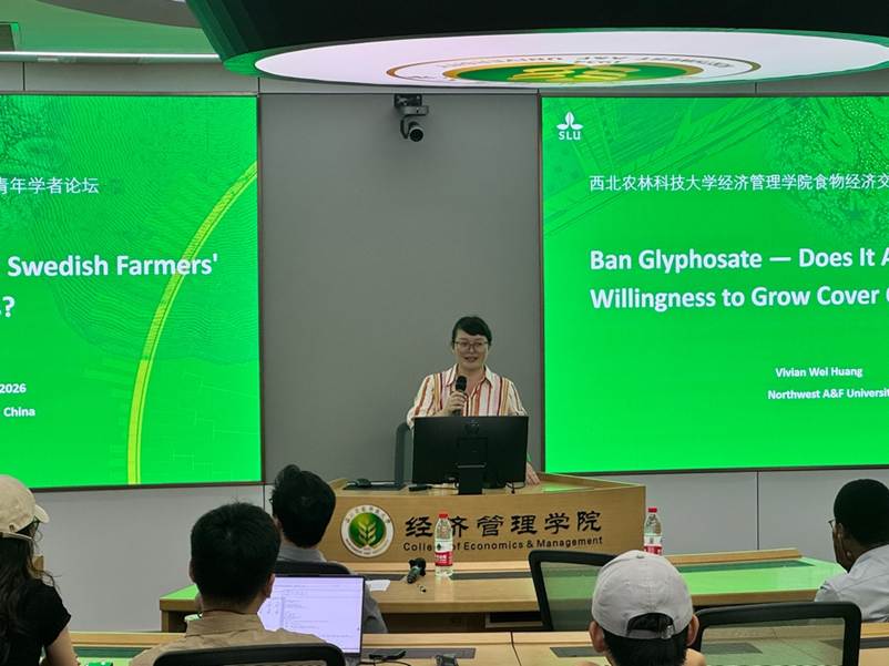 电脑游戏的人 中度可信度描述已自动生成